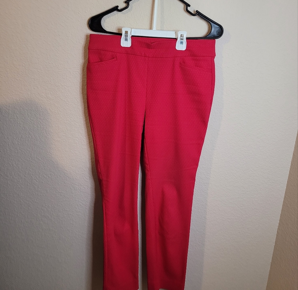 5.Chico’s Pink Textured Pull-On Pants Leggings – Size 4R